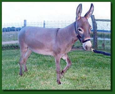 West Prairie Janice